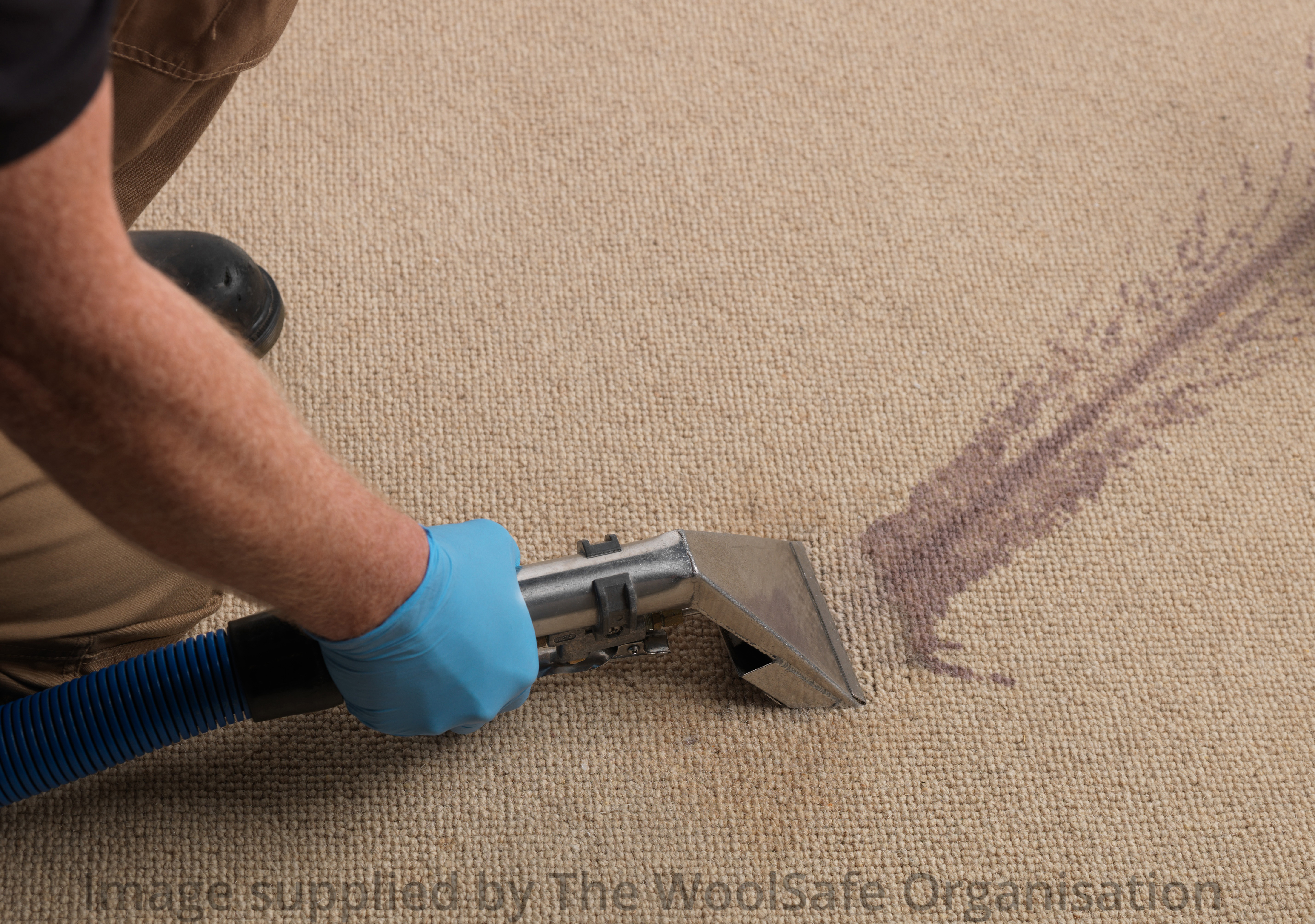 The ‘Faster to Master’ Total Carpet Care course
