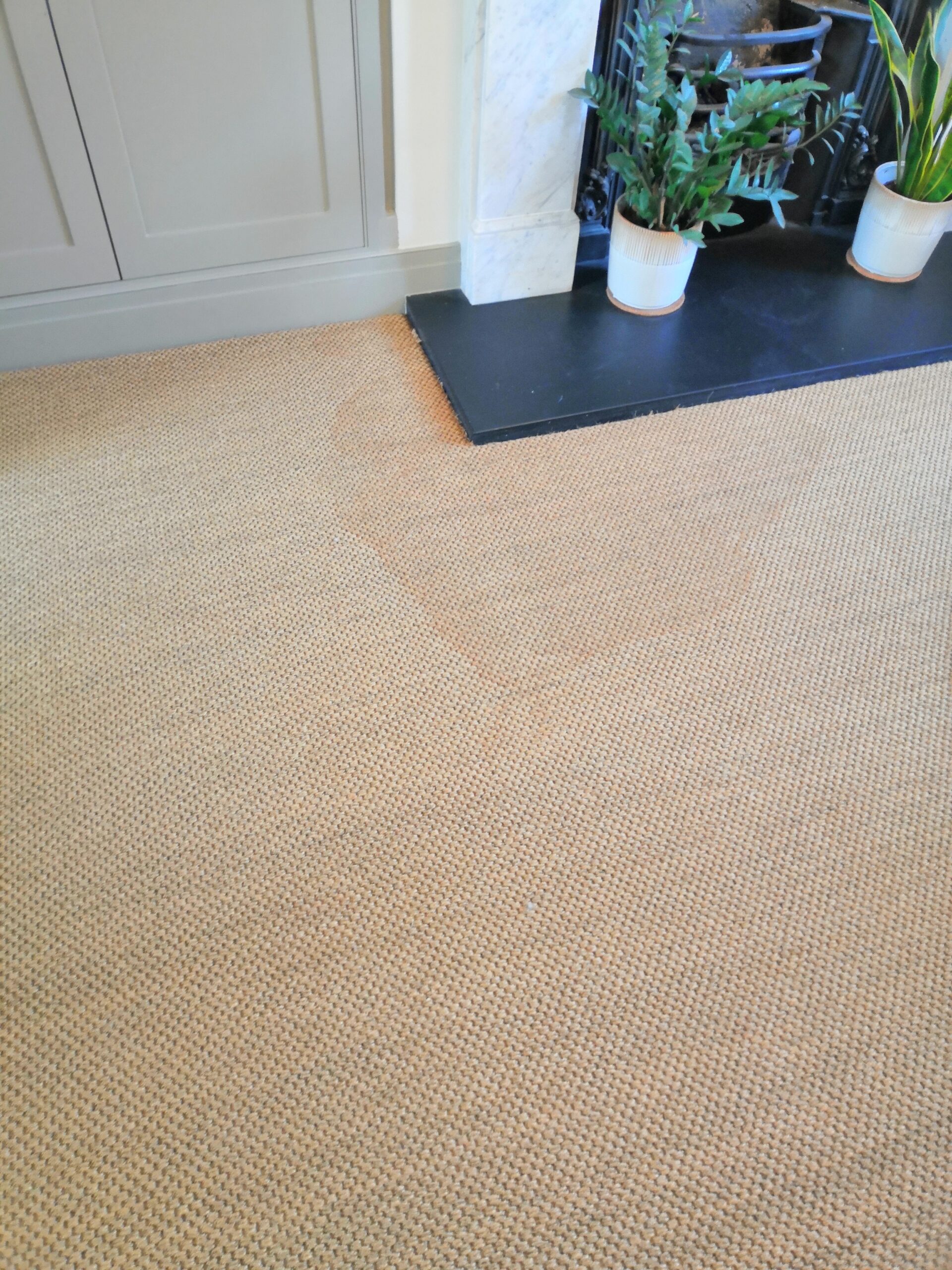 Sisal and Viscose Advanced Stain Removal and Colour Restoration - Perth, Western Australia